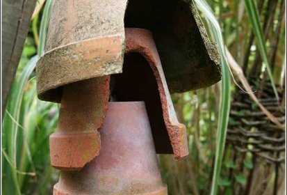 gîte pour forficules