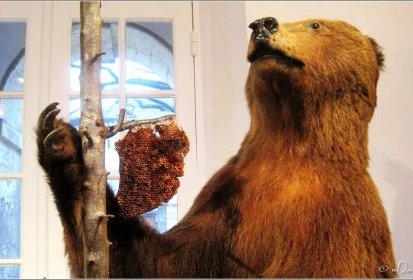 Ours