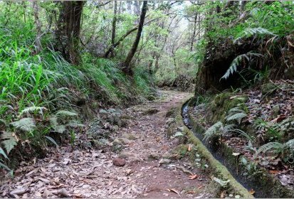 levada du "Caldeirão Verde"
