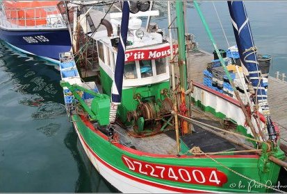 dans le port de Douarnenez