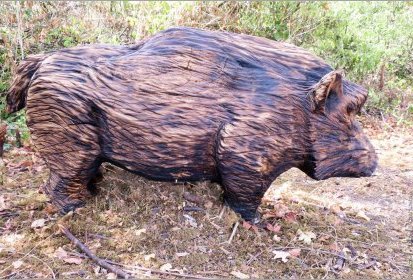 Sanglier