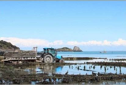 Cancale - les parcs à huîtres