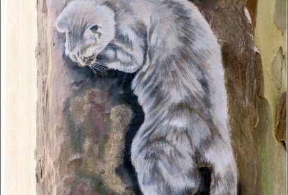 les chats de Troyes