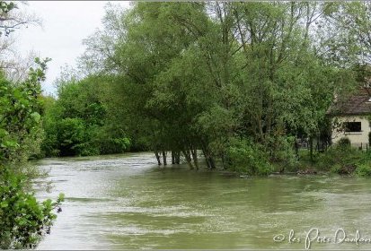 Et au milieu coule la Seine...