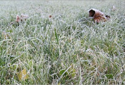 Petit coup de froid !...