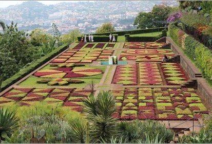 Madère - Jardin botanique (Funchal)