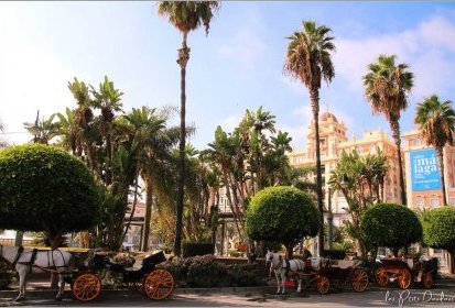 Malaga