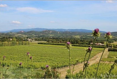 Roussillon vu de Joucas