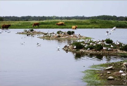 Entre terre et ciel : l'eau