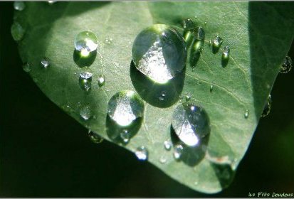 Après la pluie...