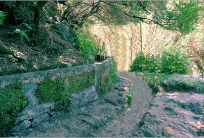 levada des "25 Fontes"