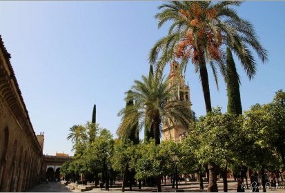 Cordoue - la Mezquita/Cathédrale