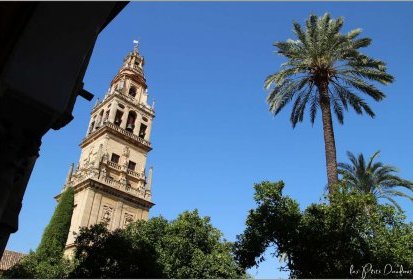 Cordoue - la Mezquita/Cathédrale